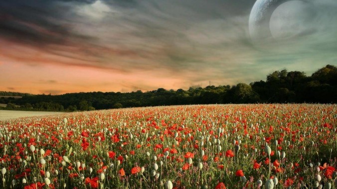 Golang 中为什么没有注解？